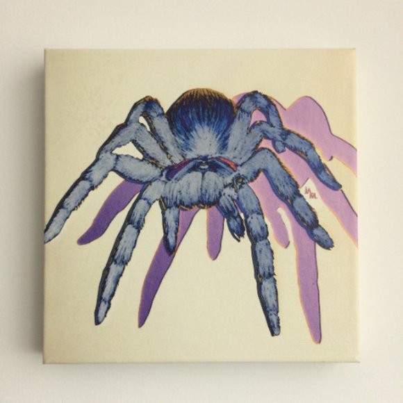 Tarantula - Original Wall Art print on 12 x 12 canvas - Picture 2 of 6